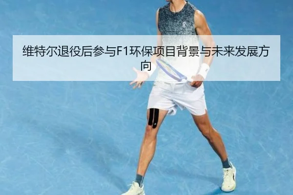 维特尔退役后参与F1环保项目背景与未来发展方向